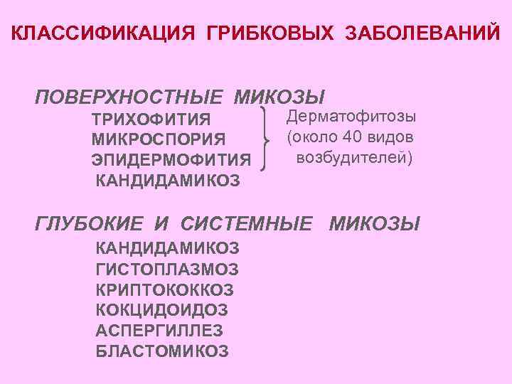 КЛАССИФИКАЦИЯ ГРИБКОВЫХ ЗАБОЛЕВАНИЙ ПОВЕРХНОСТНЫЕ МИКОЗЫ ТРИХОФИТИЯ МИКРОСПОРИЯ ЭПИДЕРМОФИТИЯ КАНДИДАМИКОЗ Дерматофитозы (около 40 видов возбудителей)