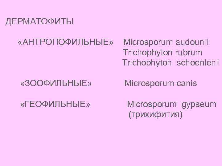 ДЕРМАТОФИТЫ «АНТРОПОФИЛЬНЫЕ» Microsporum audounii Trichophyton rubrum Trichophyton schoenlenii «ЗООФИЛЬНЫЕ» Microsporum canis «ГЕОФИЛЬНЫЕ» Microsporum gypseum