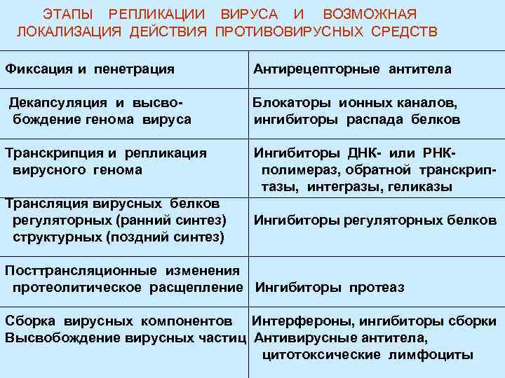 ЭТАПЫ РЕПЛИКАЦИИ ВИРУСА И ВОЗМОЖНАЯ ЛОКАЛИЗАЦИЯ ДЕЙСТВИЯ ПРОТИВОВИРУСНЫХ СРЕДСТВ Фиксация и пенетрация Антирецепторные антитела