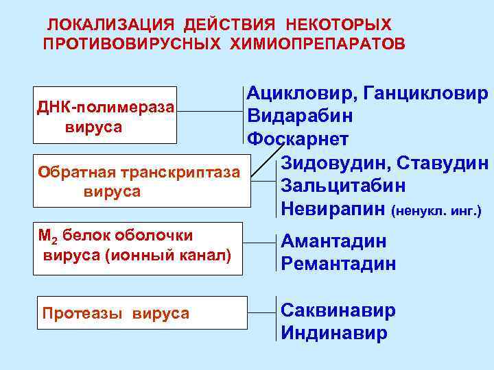 ЛОКАЛИЗАЦИЯ ДЕЙСТВИЯ НЕКОТОРЫХ ПРОТИВОВИРУСНЫХ ХИМИОПРЕПАРАТОВ Ацикловир, Ганцикловир ДНК-полимераза Видарабин вируса Фоскарнет Зидовудин, Ставудин Обратная