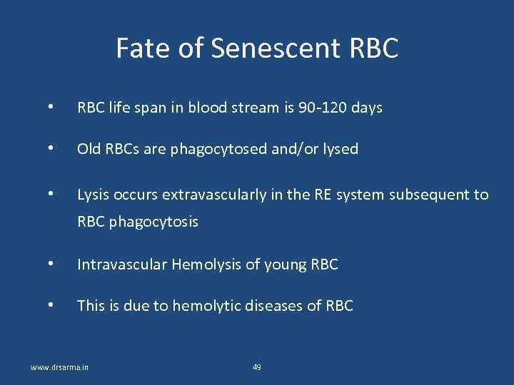 Fate of Senescent RBC • RBC life span in blood stream is 90 -120