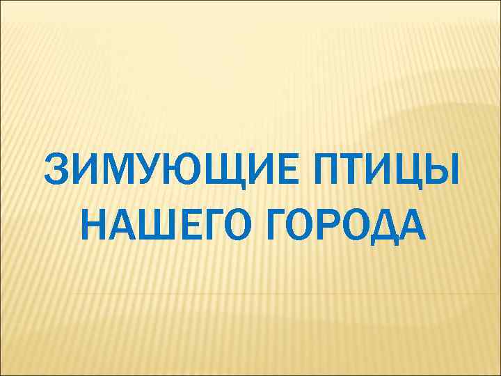 ЗИМУЮЩИЕ ПТИЦЫ НАШЕГО ГОРОДА 