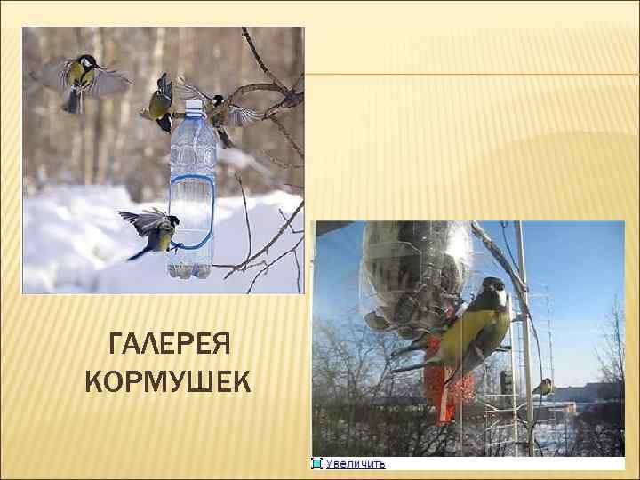 ГАЛЕРЕЯ КОРМУШЕК 