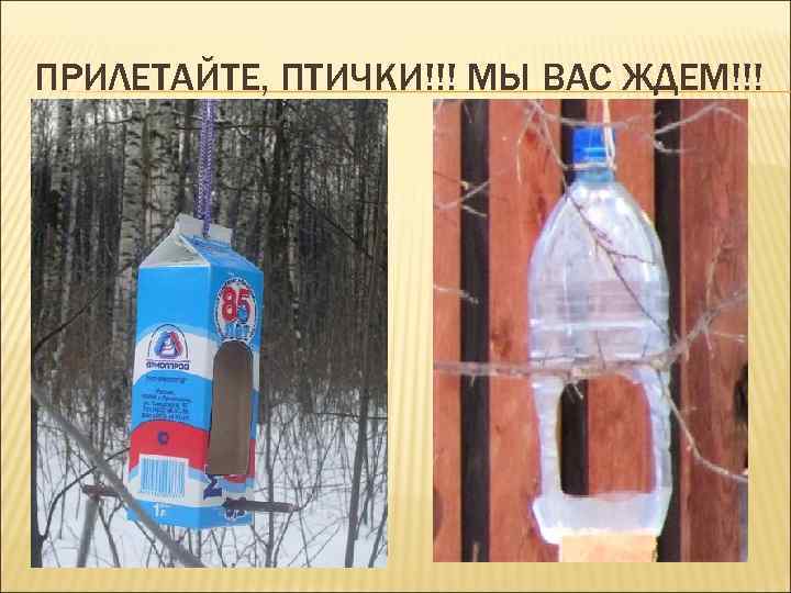 ПРИЛЕТАЙТЕ, ПТИЧКИ!!! МЫ ВАС ЖДЕМ!!! 