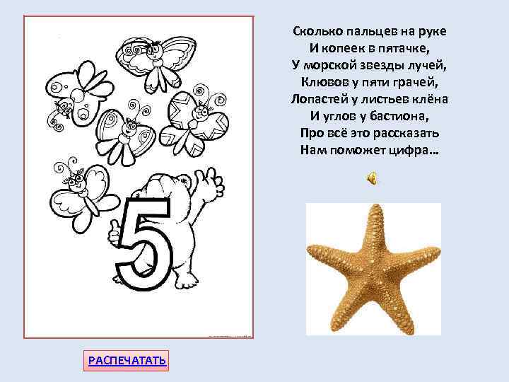Сколько пальцев на руке И копеек в пятачке, У морской звезды лучей, Клювов у