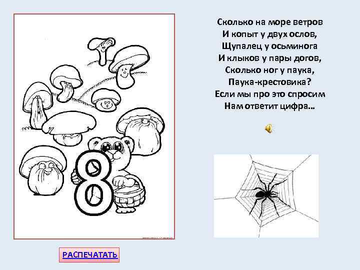 Сколько на море ветров И копыт у двух ослов, Щупалец у осьминога И клыков