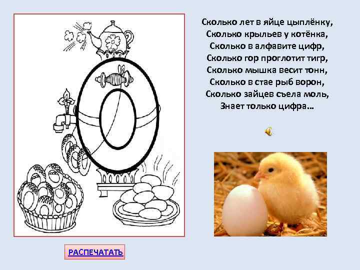 Сколько лет в яйце цыплёнку, Сколько крыльев у котёнка, Сколько в алфавите цифр, Сколько