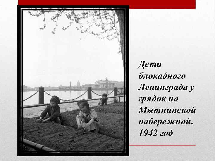 Дети блокадного Ленинграда у грядок на Мытнинской набережной. 1942 год 