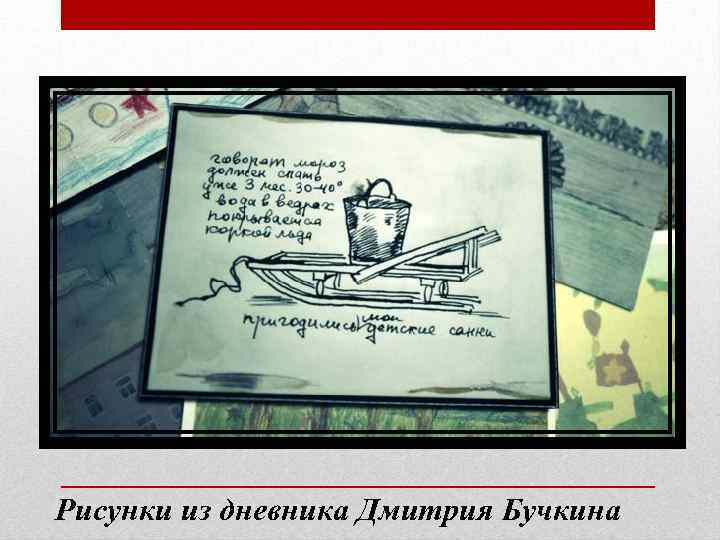 Рисунки из дневника Дмитрия Бучкина 