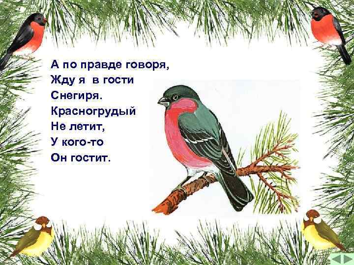 А по правде говоря, Жду я в гости Снегиря. Красногрудый Не летит, У кого-то