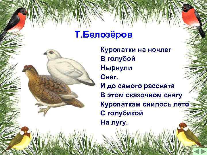 Т. Белозёров Куропатки на ночлег В голубой Нырнули Снег. И до самого рассвета В