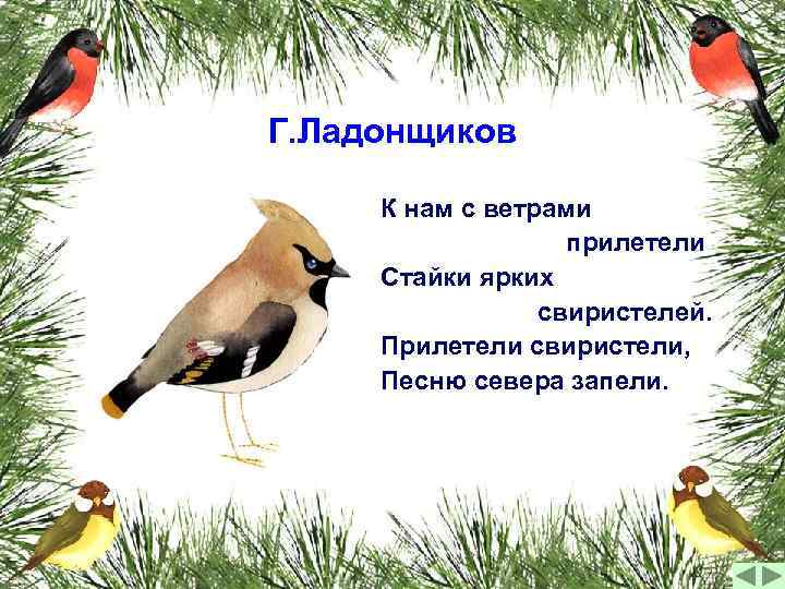 Г. Ладонщиков К нам с ветрами прилетели Стайки ярких свиристелей. Прилетели свиристели, Песню севера