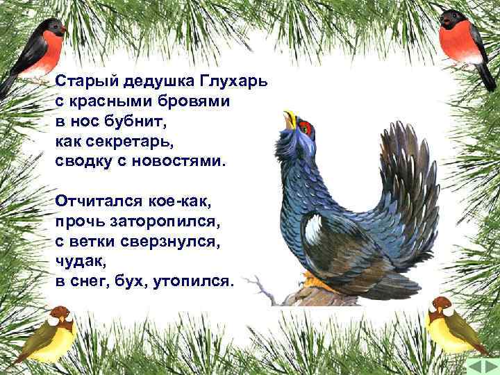Старый дедушка Глухарь с красными бровями в нос бубнит, как секретарь, сводку с новостями.