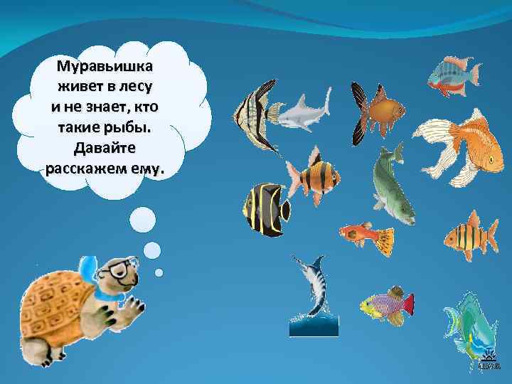 Муравьишка живет в лесу и не знает, кто такие рыбы. Давайте расскажем ему. 