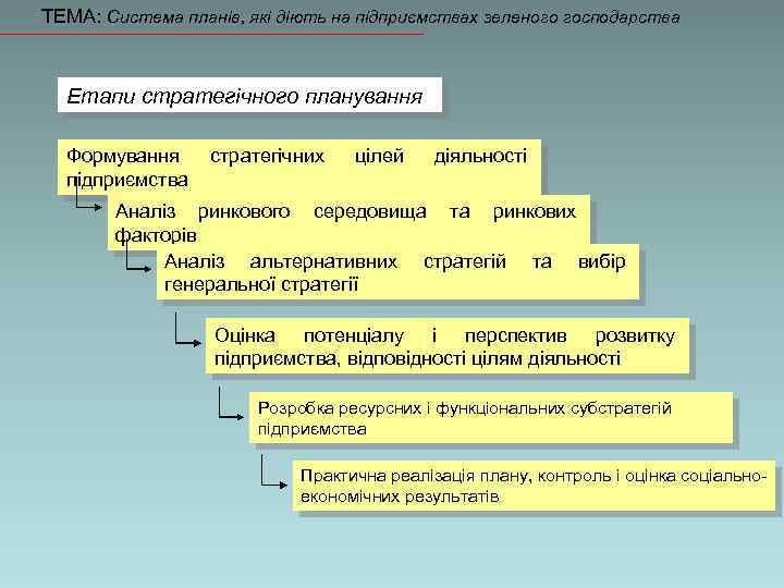 ТЕМА: Система планів, які діють на підприємствах зеленого господарства Етапи стратегічного планування Формування підприємства