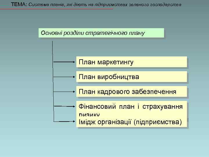 ТЕМА: Система планів, які діють на підприємствах зеленого господарства Основні розділи стратегічного плану План