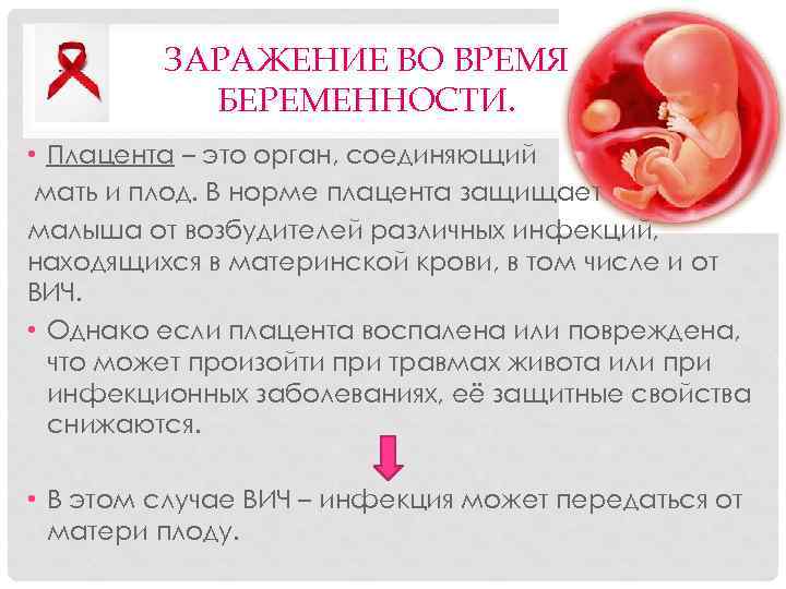 ЗАРАЖЕНИЕ ВО ВРЕМЯ БЕРЕМЕННОСТИ. • Плацента – это орган, соединяющий мать и плод. В