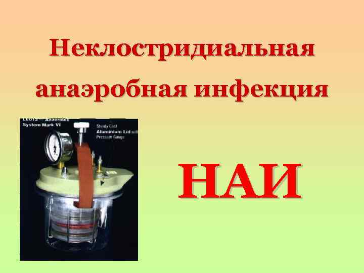 Неклостридиальная анаэробная инфекция НАИ 