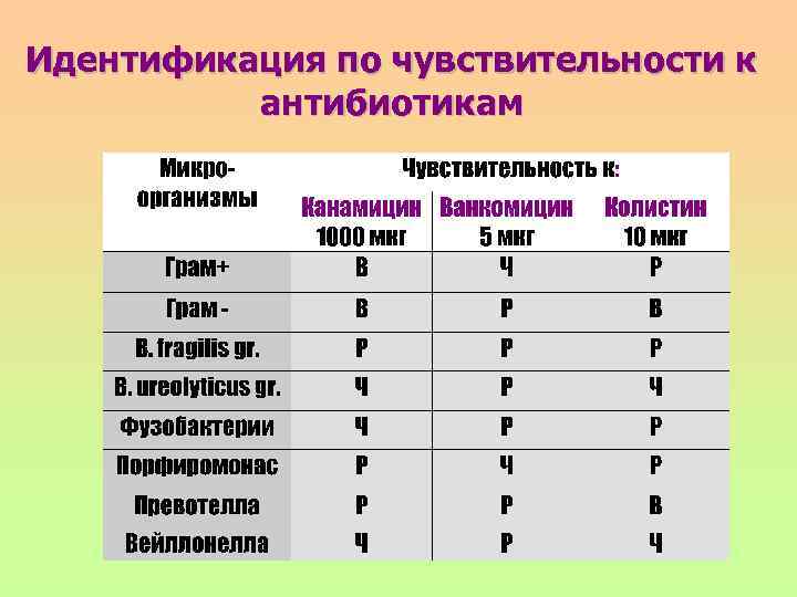 Идентификация по чувствительности к антибиотикам 