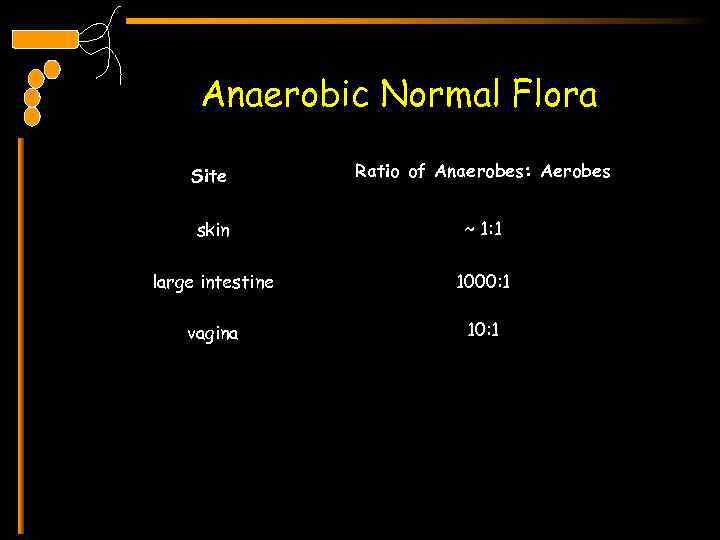Anaerobic Normal Flora Site Ratio of Anaerobes: Aerobes skin ~ 1: 1 large intestine