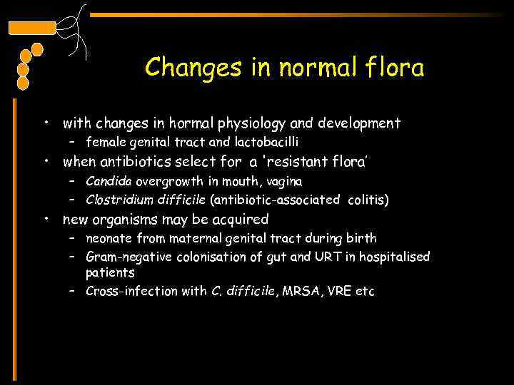 Changes in normal flora • with changes in hormal physiology and development – female