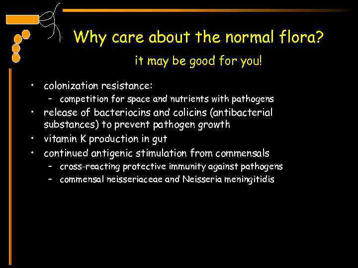 Why care about the normal flora? it may be good for you! • colonization