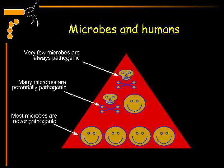 Microbes and humans Very few microbes are always pathogenic Many microbes are potentially pathogenic