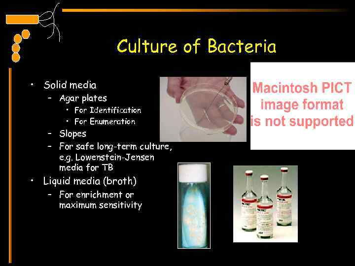 Culture of Bacteria • Solid media – Agar plates • For Identification • For