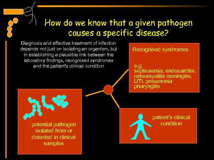 How do we know that a given pathogen causes a specific disease? Diagnosis and