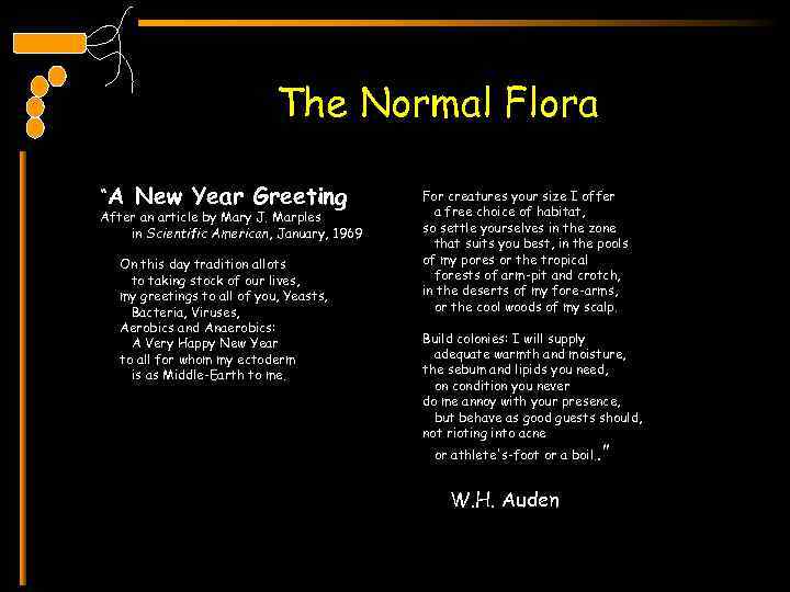 The Normal Flora “A New Year Greeting After an article by Mary J. Marples
