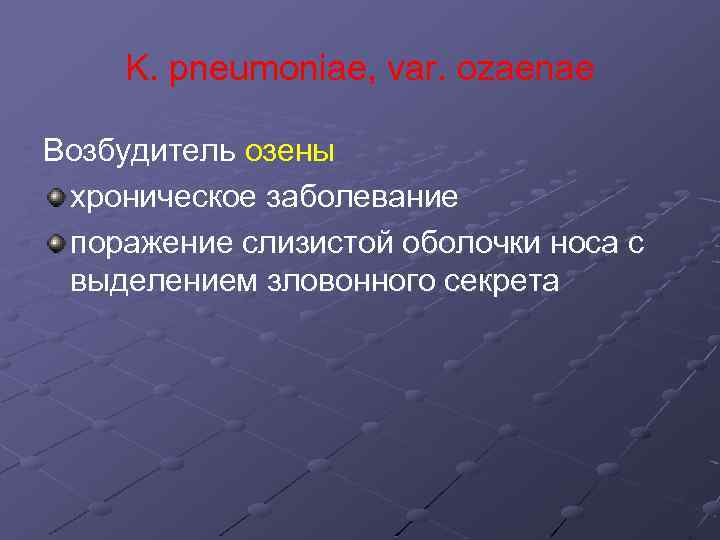 K. pneumoniae, var. ozaenae Возбудитель озены хроническое заболевание поражение слизистой оболочки носа с выделением
