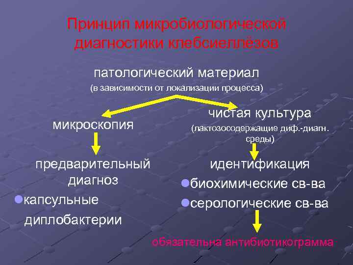 Принцип микробиологической диагностики клебсиеллёзов патологический материал (в зависимости от локализации процесса) микроскопия предварительный диагноз