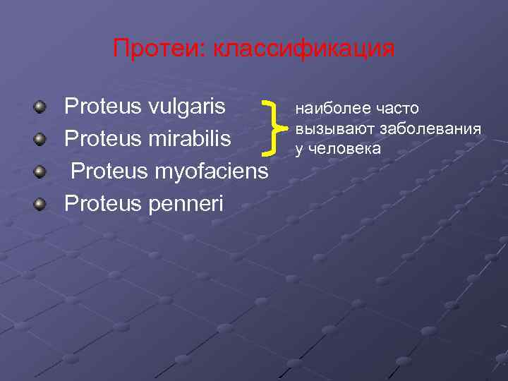 Протеи: классификация Proteus vulgaris Proteus mirabilis Proteus myofaciens Proteus penneri наиболее часто вызывают заболевания