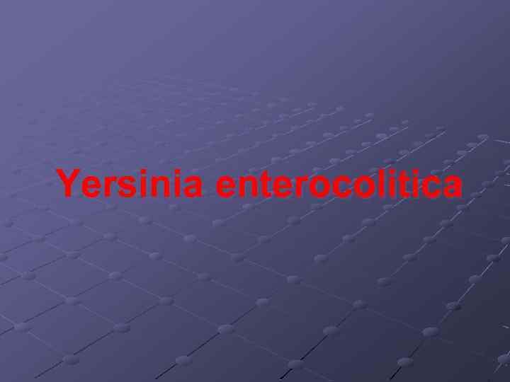 Yersinia enterocolitica 