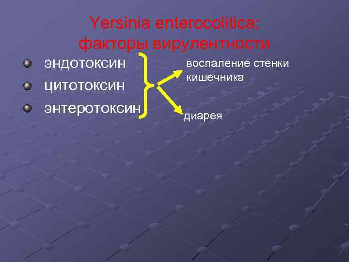 Yersinia enterocolitica: факторы вирулентности эндотоксин цитотоксин энтеротоксин воспаление стенки кишечника диарея 