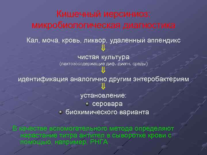 Кишечный иерсиниоз: микробиологическая диагностика Кал, моча, кровь, ликвор, удаленный аппендикс чистая культура (лактозосодержащие диф.