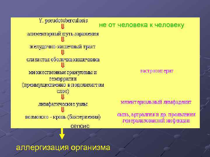 не от человека к человеку сепсис аллергизация организма 
