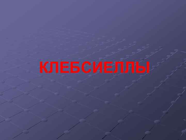 КЛЕБСИЕЛЛЫ 