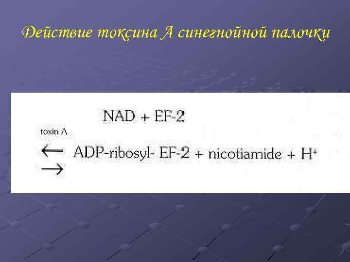 Действие токсина А синегнойной палочки 