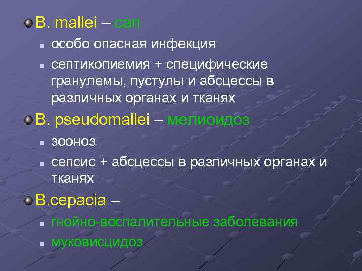 В. mallei – сап n n особо опасная инфекция септикопиемия + специфические гранулемы, пустулы