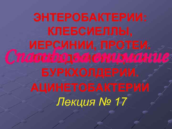 ЭНТЕРОБАКТЕРИИ: КЛЕБСИЕЛЛЫ, ИЕРСИНИИ, ПРОТЕИ. ПСЕВДОМОНАДЫ И БУРКХОЛДЕРИИ. АЦИНЕТОБАКТЕРИИ Лекция № 17 Спасибо за внимание