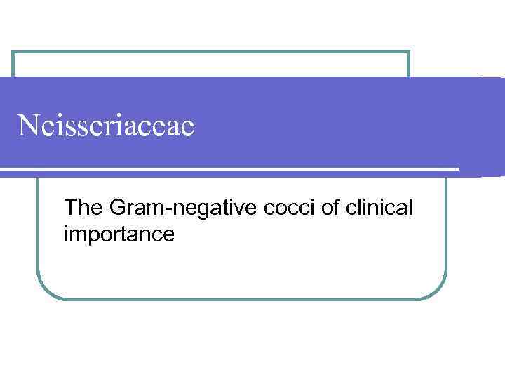 Neisseriaceae The Gram negative cocci of clinical importance 