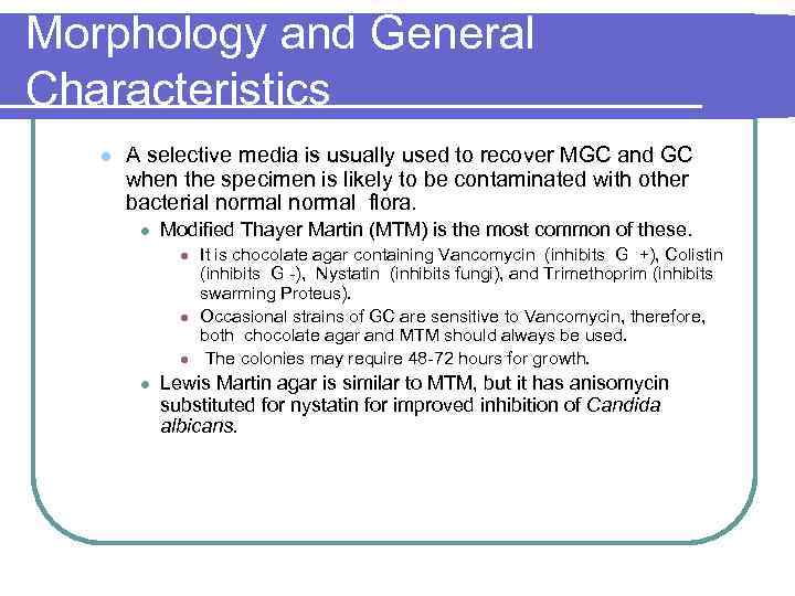 Morphology and General Characteristics l A selective media is usually used to recover MGC