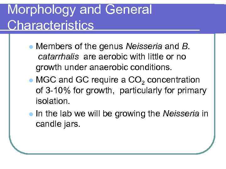 Morphology and General Characteristics Members of the genus Neisseria and B. catarrhalis are aerobic