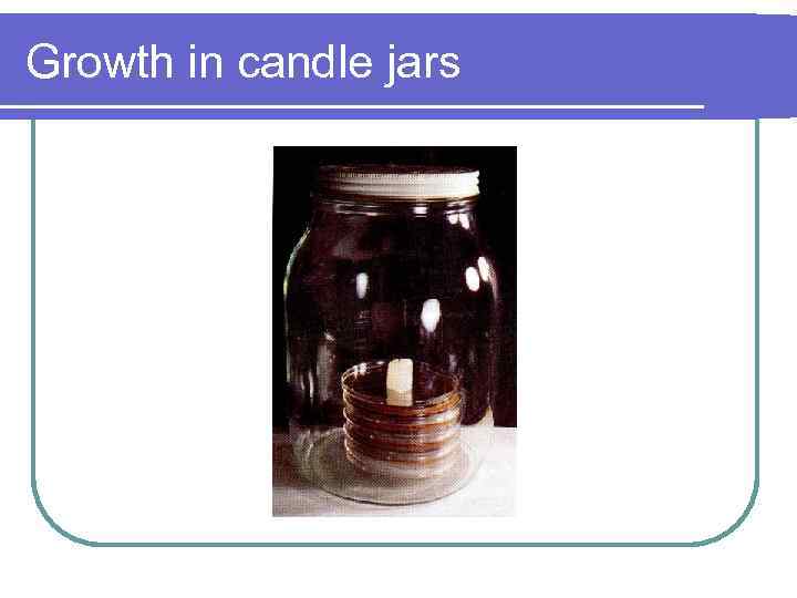Growth in candle jars 