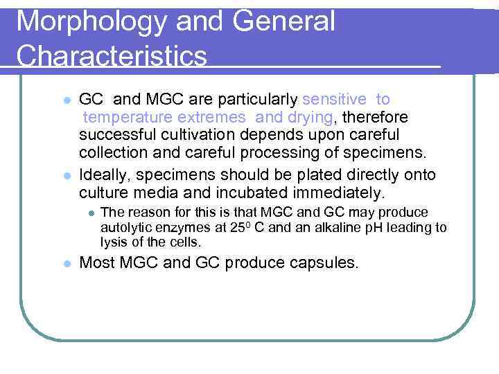 Morphology and General Characteristics l l GC and MGC are particularly sensitive to temperature