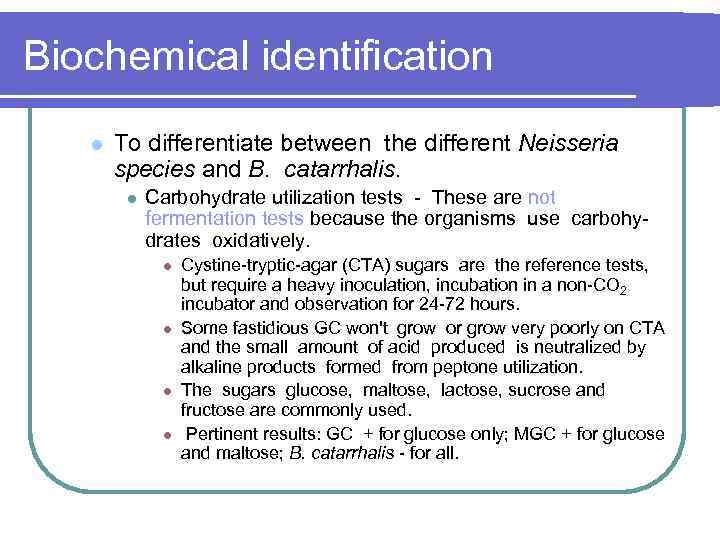 Biochemical identification l To differentiate between the different Neisseria species and B. catarrhalis. l