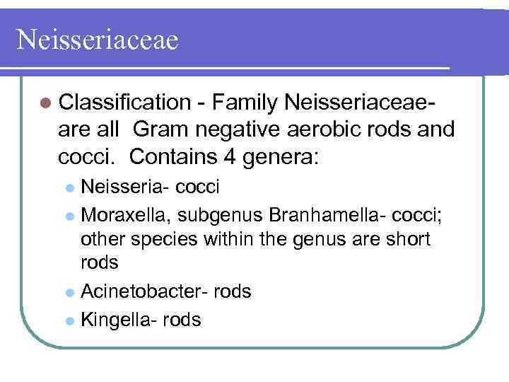 Neisseriaceae l Classification Family Neisseriaceae are all Gram negative aerobic rods and cocci. Contains