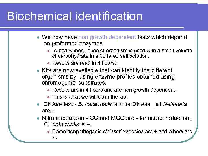 Biochemical identification l We now have non growth dependent tests which depend on preformed