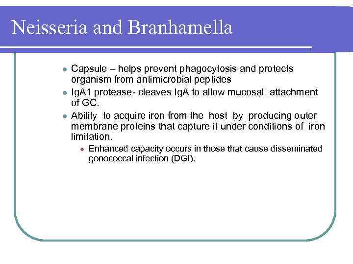 Neisseria and Branhamella l l l Capsule – helps prevent phagocytosis and protects organism